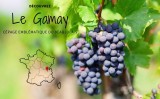 Journée Beaujolais Jeudi 19 Novembre  nous vous proposons un Menu Unique 44€ 